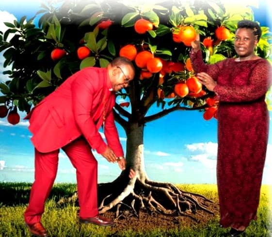 Theme Image